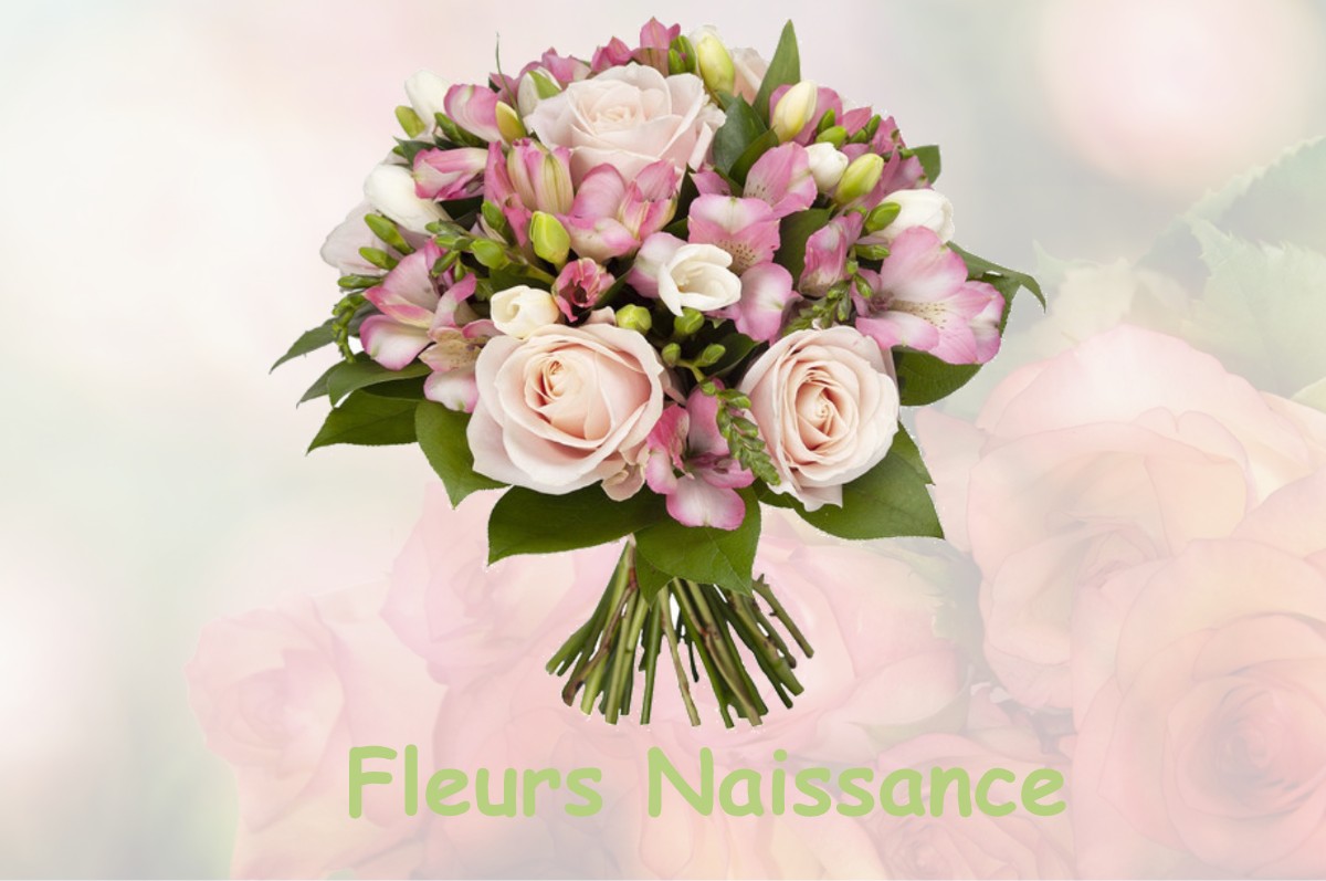 fleurs naissance DARNEY-AUX-CHENES