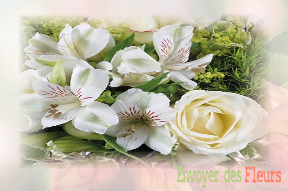 envoyer des fleurs à à DARNEY-AUX-CHENES